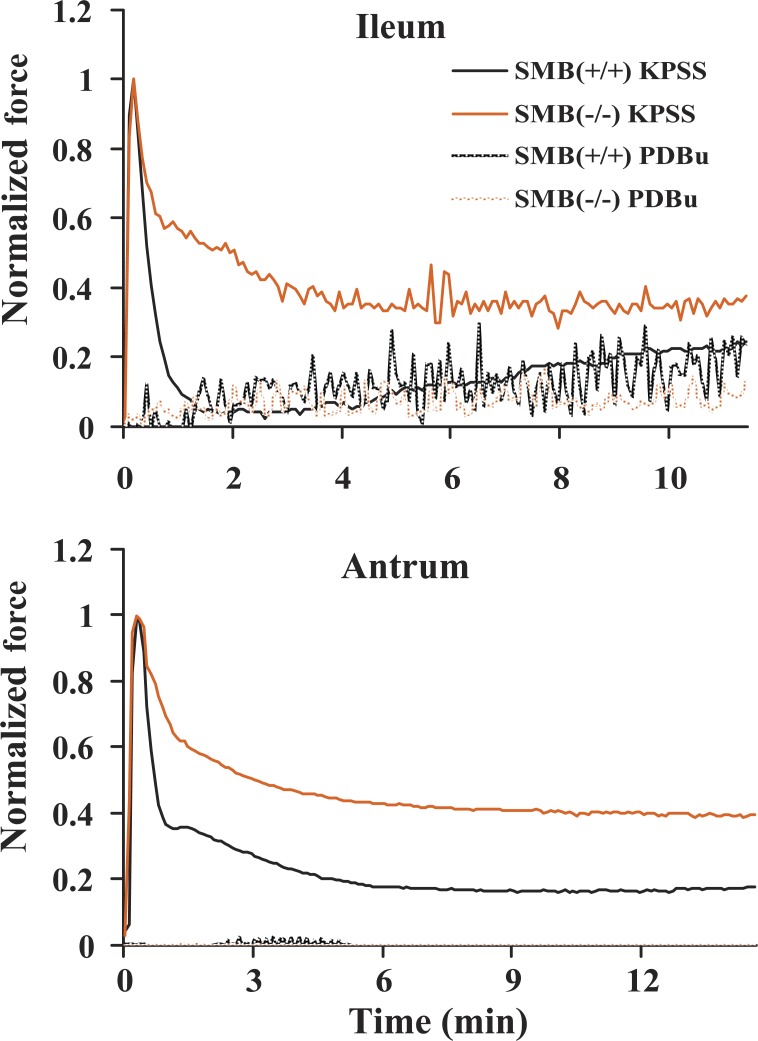 Fig. 6.