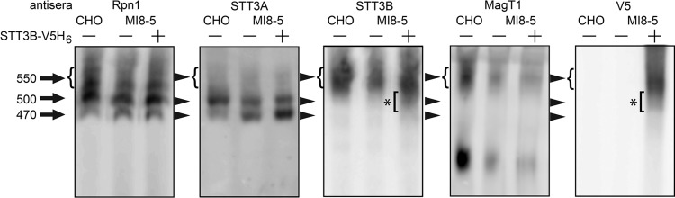 Fig. 6.