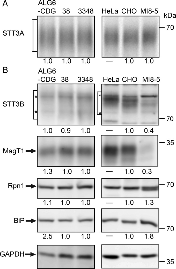 Fig. 3.