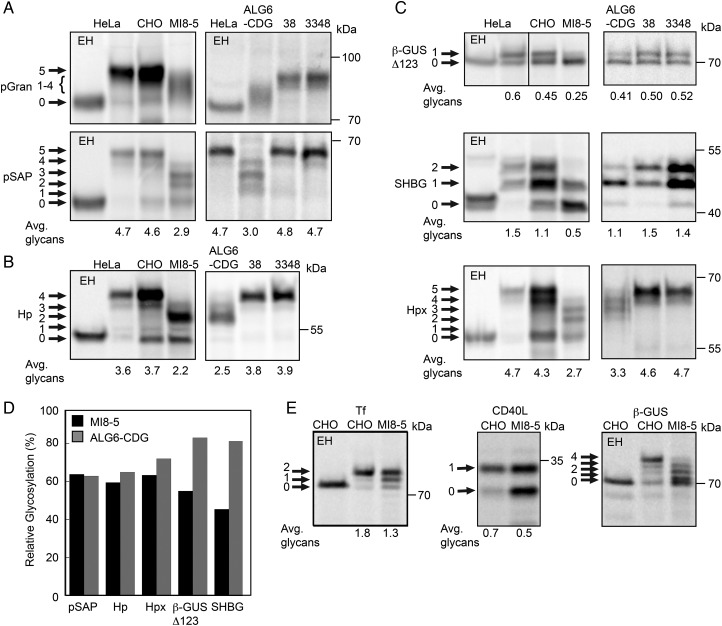 Fig. 2.