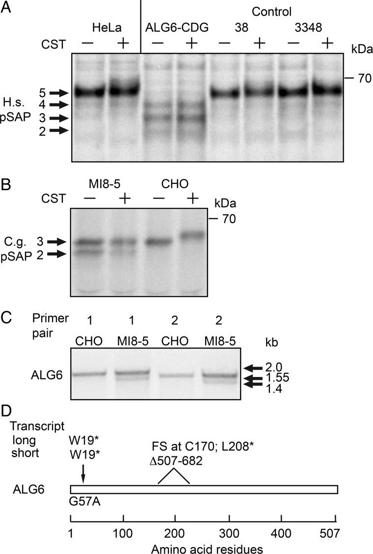 Fig. 1.