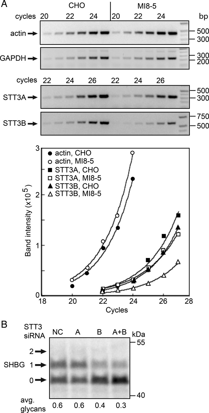 Fig. 4.