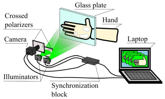 Fig. 1