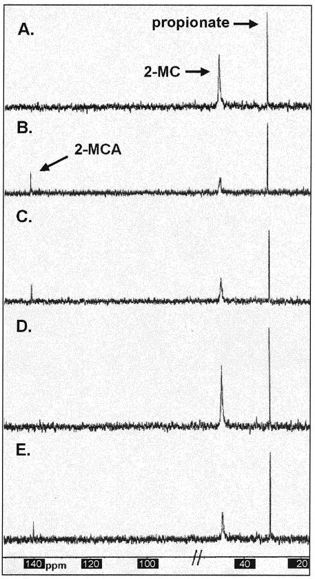 FIG. 5.