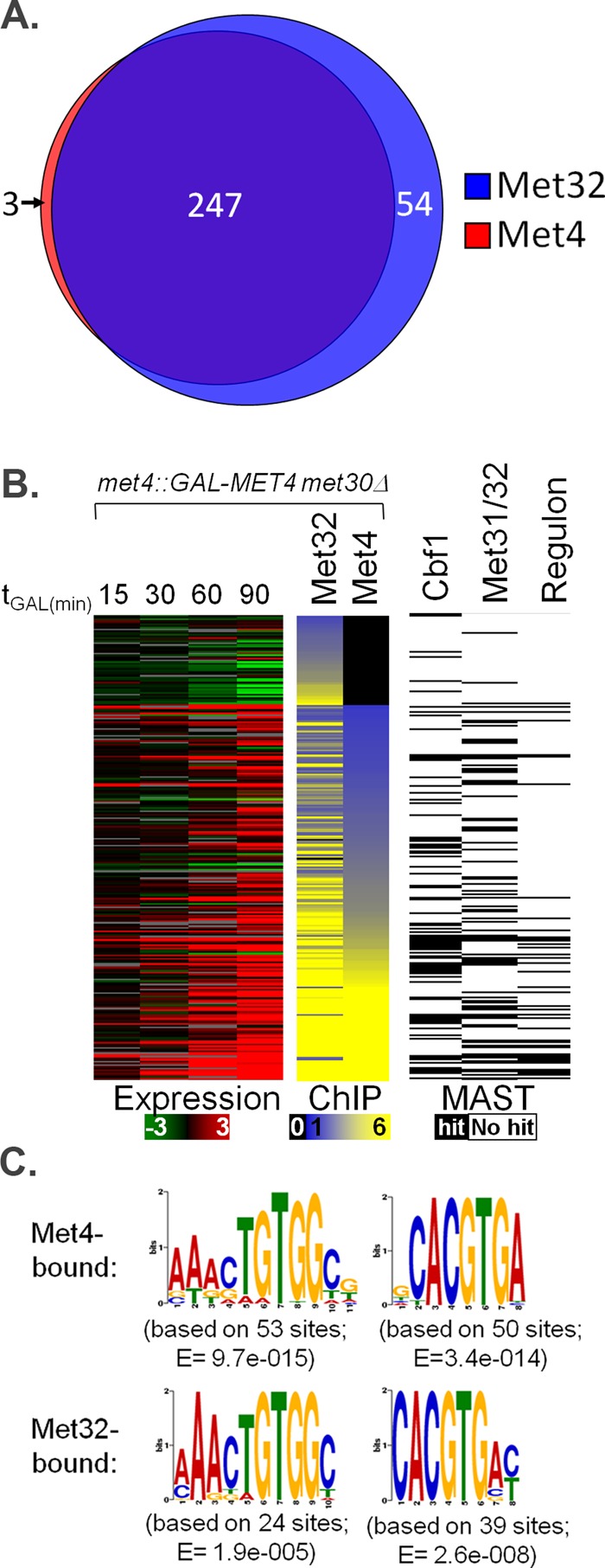 FIGURE 10: