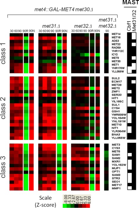 FIGURE 3: