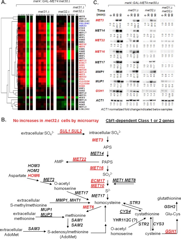 FIGURE 4: