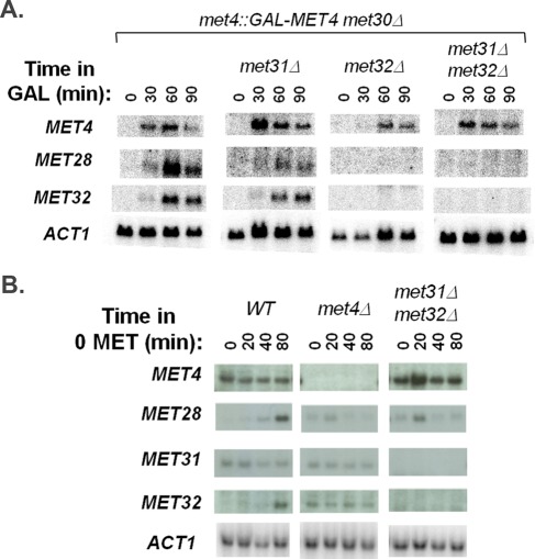 FIGURE 7: