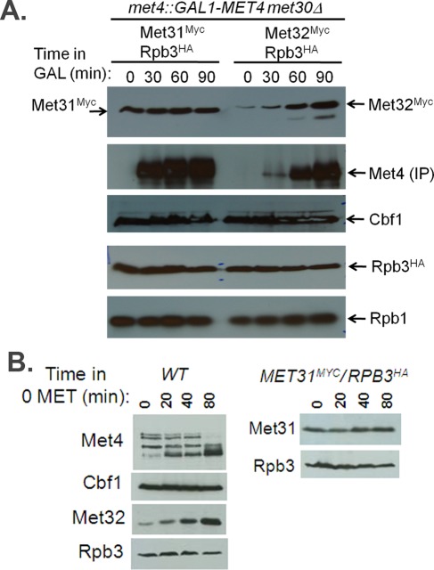 FIGURE 9: