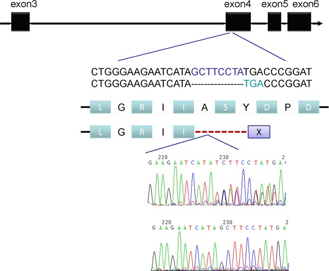 Figure 1