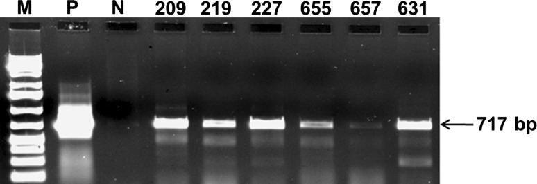 Fig. 5
