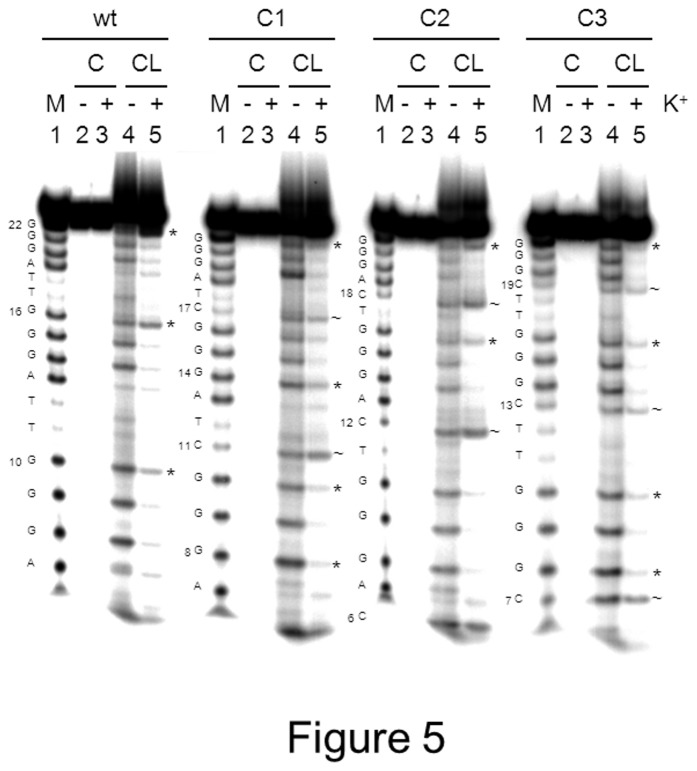 Figure 5