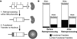 <sc>Fig</sc>. 6.
