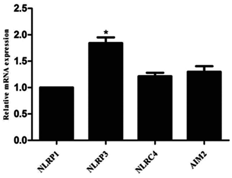 Figure 1.