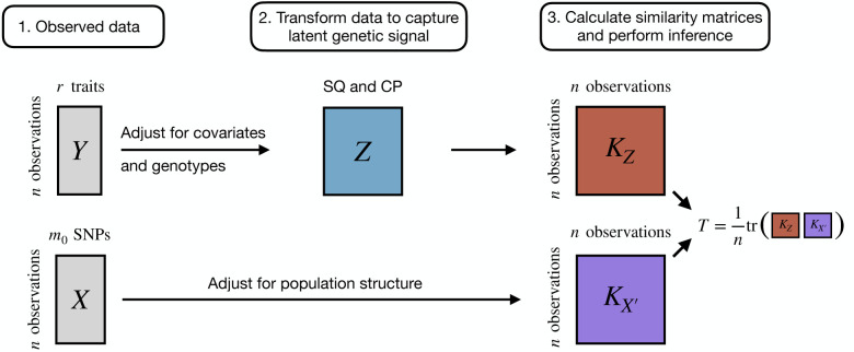 Figure 1: