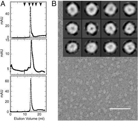 Fig. 2.