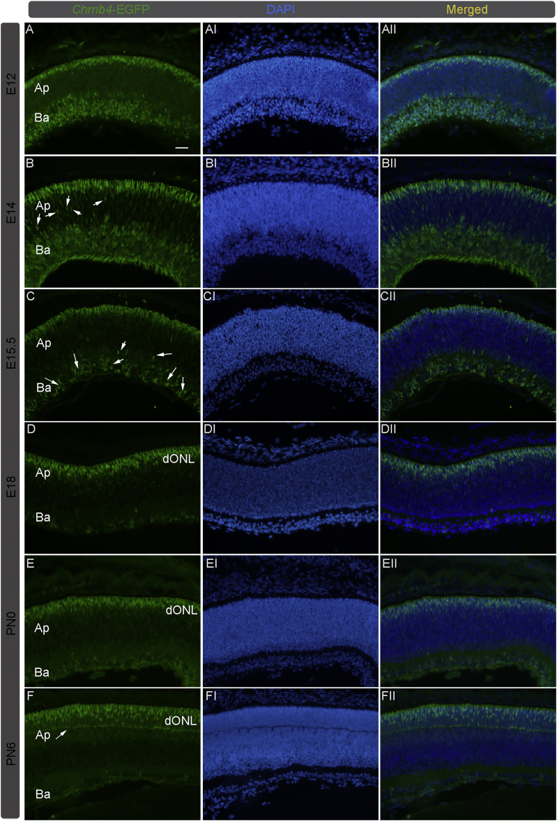 Figure 1