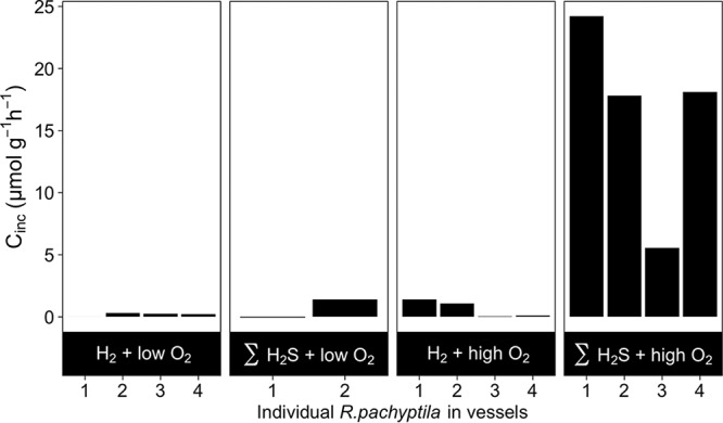 FIG 4