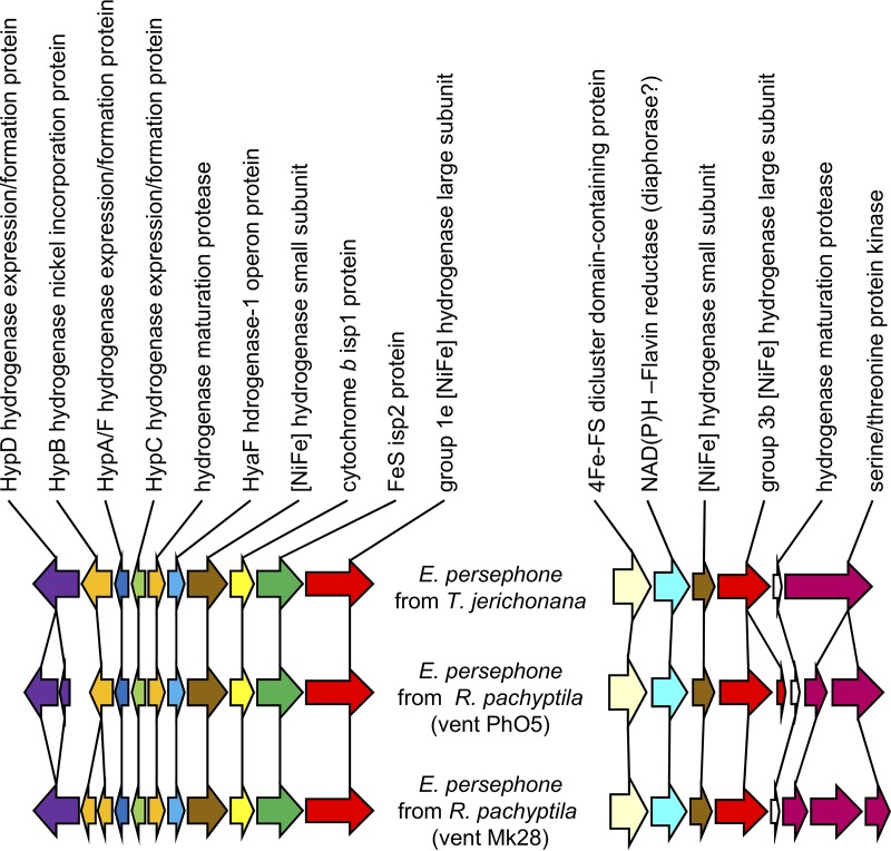 FIG 6