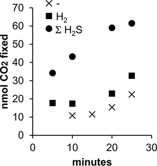 FIG 5