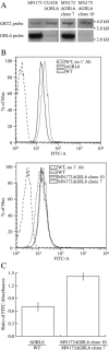 Figure 13.