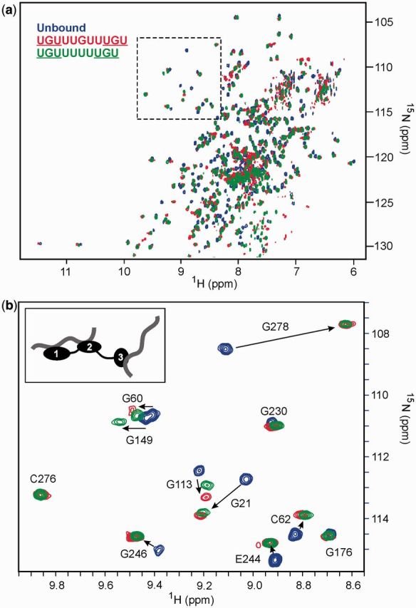 Figure 2.