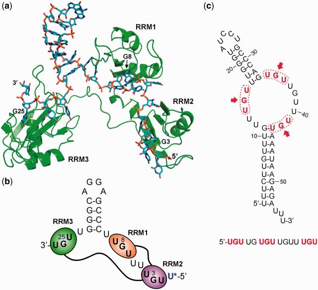 Figure 6.