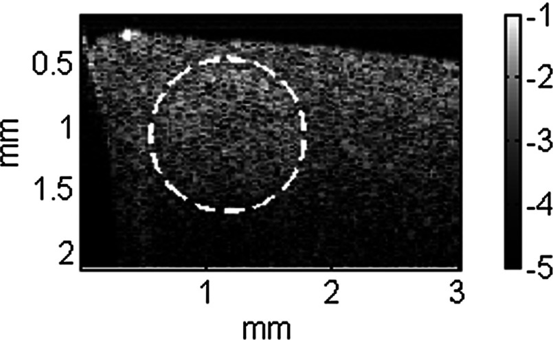 Fig. 6