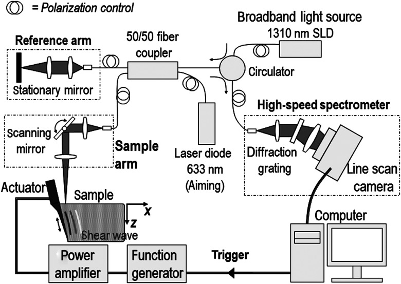 Fig. 1