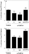 FIG. 9