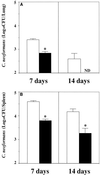 FIG. 7