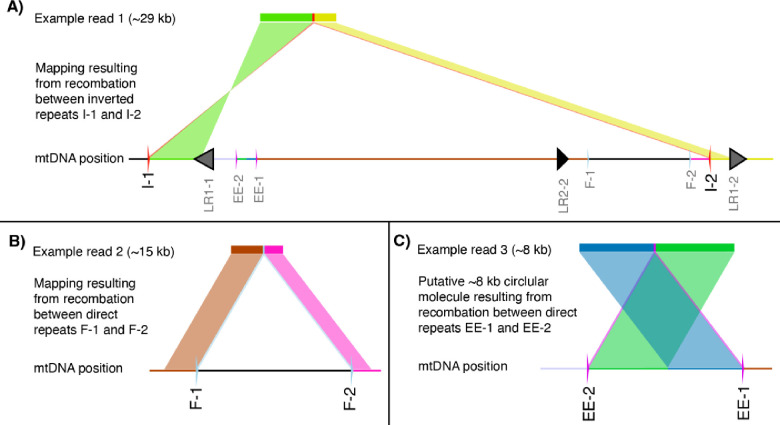 Figure 9.