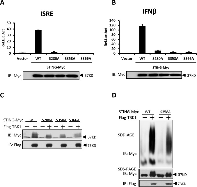 Fig 6