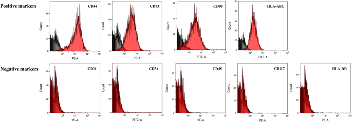 Figure 2