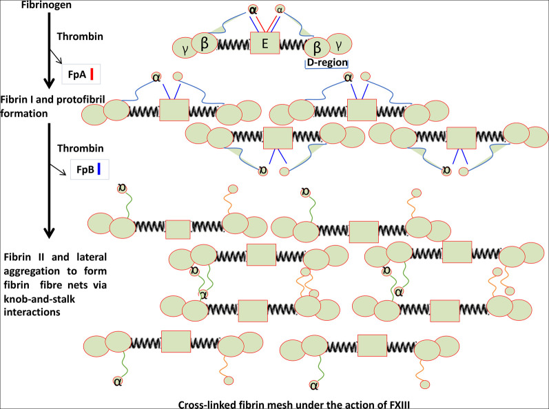 Figure 3.