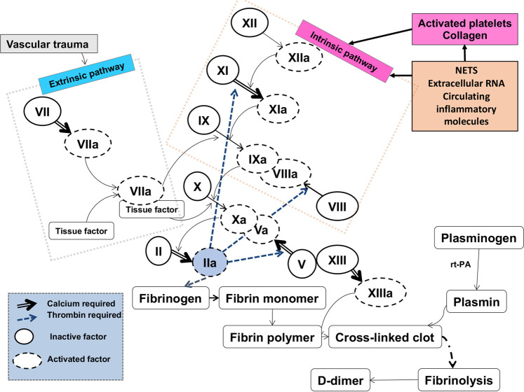 Figure 2.