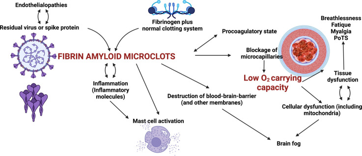 Figure 10.