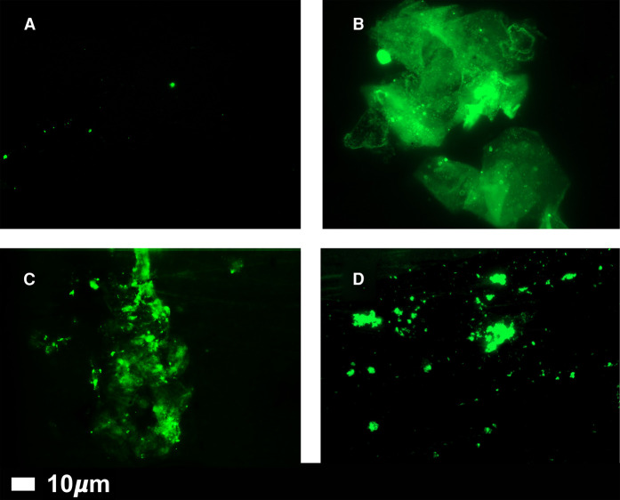 Figure 4.