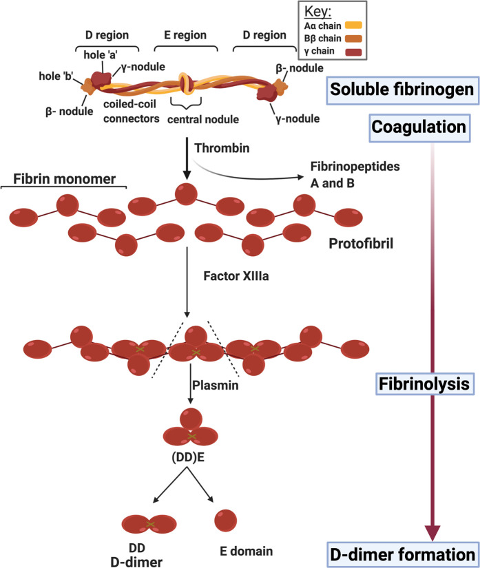 Figure 5.