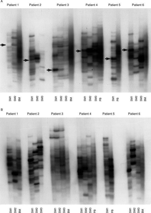 Figure 1  