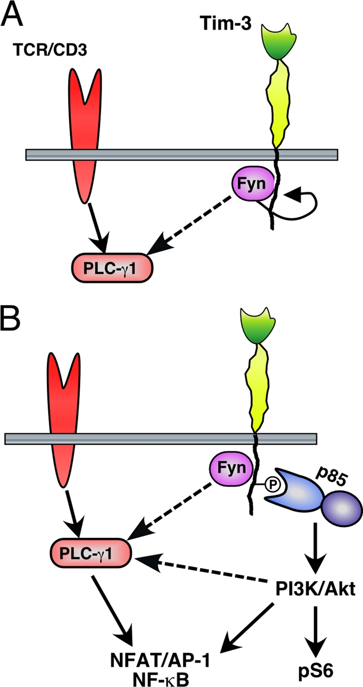 Fig. 9.