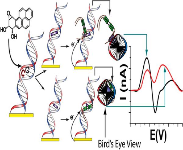 Figure 14