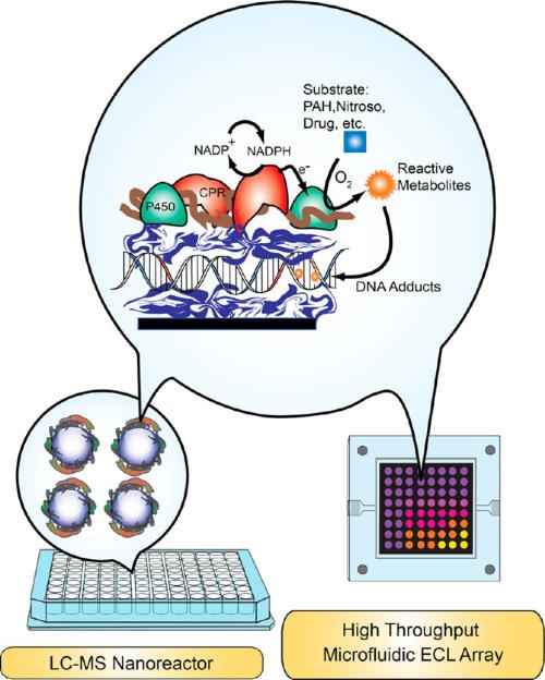 Figure 10