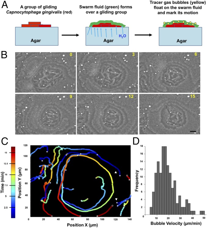 Fig. 2.