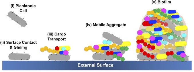 Fig. 7.