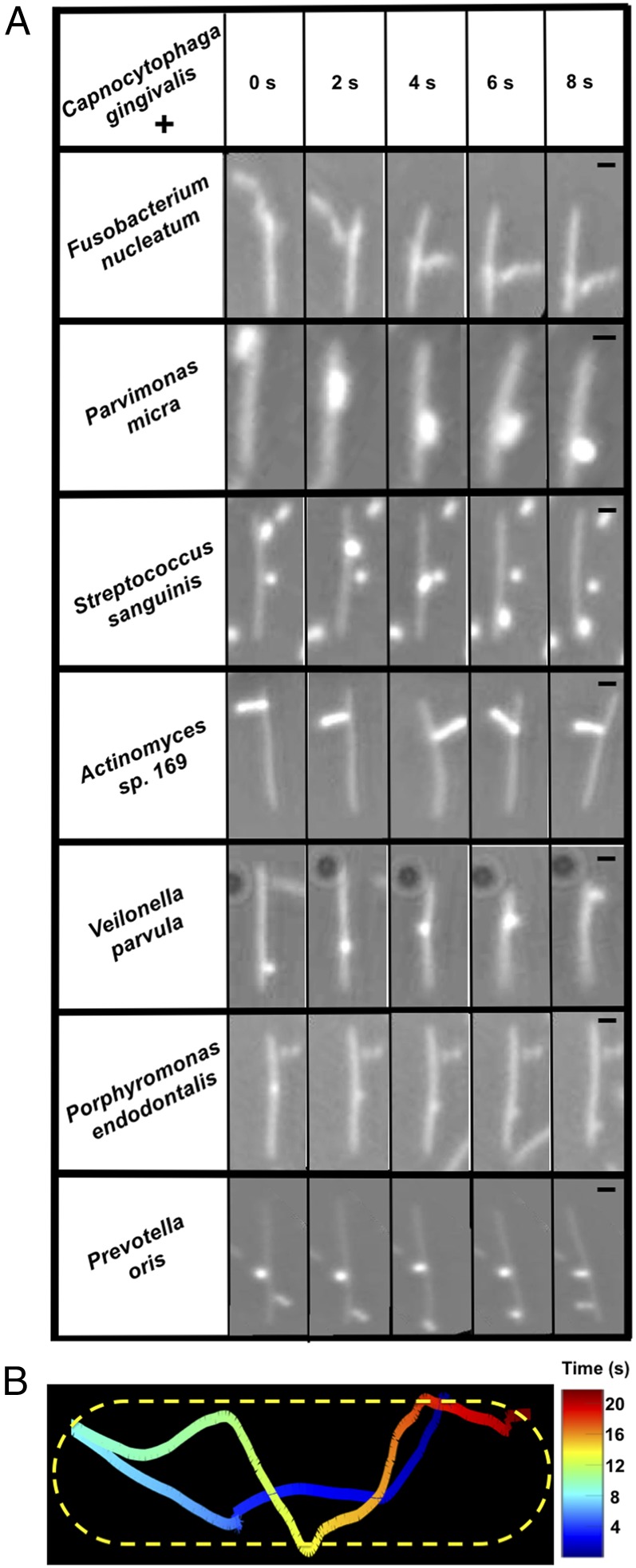 Fig. 4.