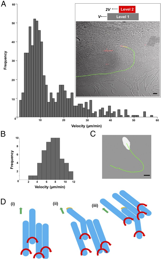 Fig. 3.