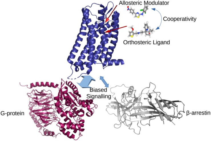 FIGURE 2