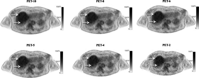 Fig. 2