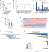 Figure 4. Inhibition of CK1δ/CK1ε disrupts central metabolic pathways in multiple myeloma patient samples. A, Ex vivo sensitivity of patient CD138+-selected cells to SR-3029 versus a panel of standard-of-care anti–multiple myeloma therapies, as measured by live-cell imaging. Each dot represents sensitivity [lethal dose (LD)50, amount of drug needed to cause lethality in 50% of patient samples] for a given patient sample after 96 hours of treatment. Only patients with measurable LD50 are graphed. Ex vivo responses (achieved LD50 at 96 hours) were as follows: SR-3029 74/75; bortezomib (BTZ) 271/273; carfilzomib (CFZ) 259/263; lenalidomide [Len0 4/203; pomalidomide (Pom) 10/288; dexamethasone (Dex) 17/216; melphalan (Mel) 216/240]. B and C, Ex vivo sensitivity of patient CD138+-selected multiple myeloma cells to SR-3029 versus a panel of kinase inhibitors after 96 hours of treatment (B). Number of patient samples that achieved an ex vivo response (LD50 at 96 hours) out of the total number of samples tested (C) is shown. D, Ex vivo sensitivity of patients to SR-3029 based on clinical course. NDMM prior to therapy (n = 26); early RRMM, early relapse refractory multiple myeloma patients resistant to 1–3 lines of therapy (n = 31); late RRMM, late relapse refractory resistant to ≥4 lines of therapy (n = 34). Statistical comparisons between clinical course were calculated using a one-way ANOVA with multiple comparisons. E–G, CD138+-derived multiple myeloma cells from 5 patients were cultured in the top well Boyden chamber with patient BM-derived stroma in the bottom well. Cells were incubated for 24 hours with vehicle or 250 nmol/L SR-3029 and cells were harvested for RNA-seq analyses. E, Heat map of 1,162 differently expressed genes from the patient RNA-seq data. F, GSEA HALLMARK pathway analysis (q < 0.01) of genes downregulated by SR-3029. G, DAVID pathway analysis of genes downregulated by SR-3029 ex vivo.